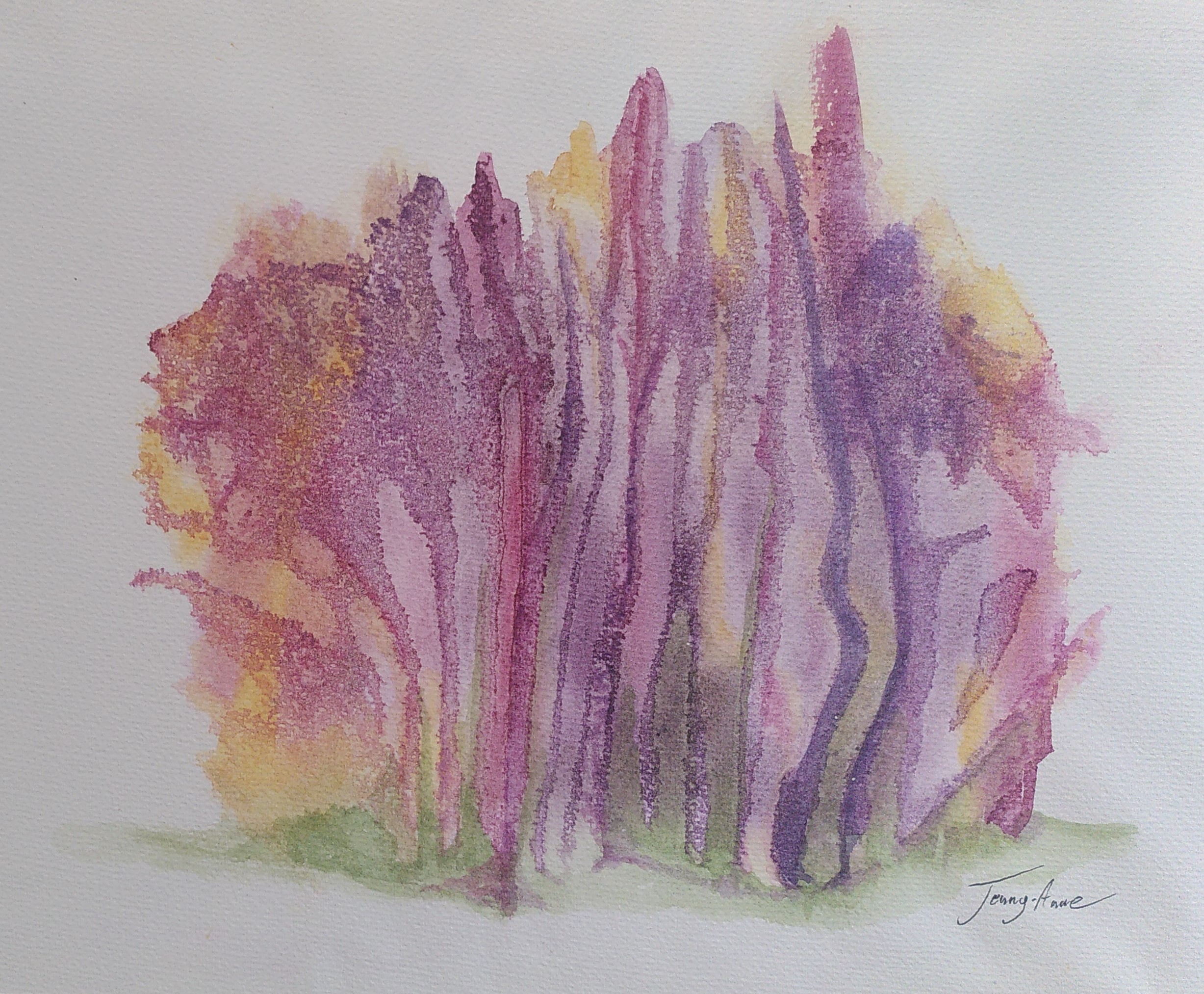9 Taillis mauve ou-vert